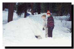 shelter1.jpg (5598 bytes)