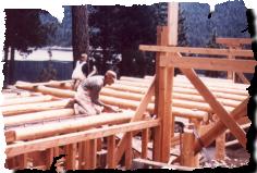 structure.jpg (11178 bytes)